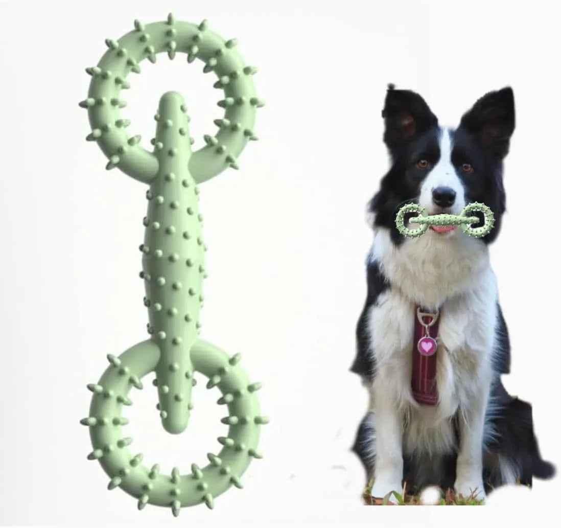 Blue TPR dog chew ring toy for teething puppies measuring 16cm diameter