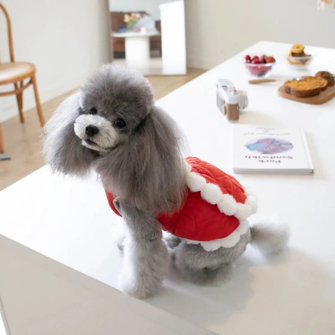 Red Chinese style pet clothing with a thick fur collar and traditional knot decoration on a dog or cat.