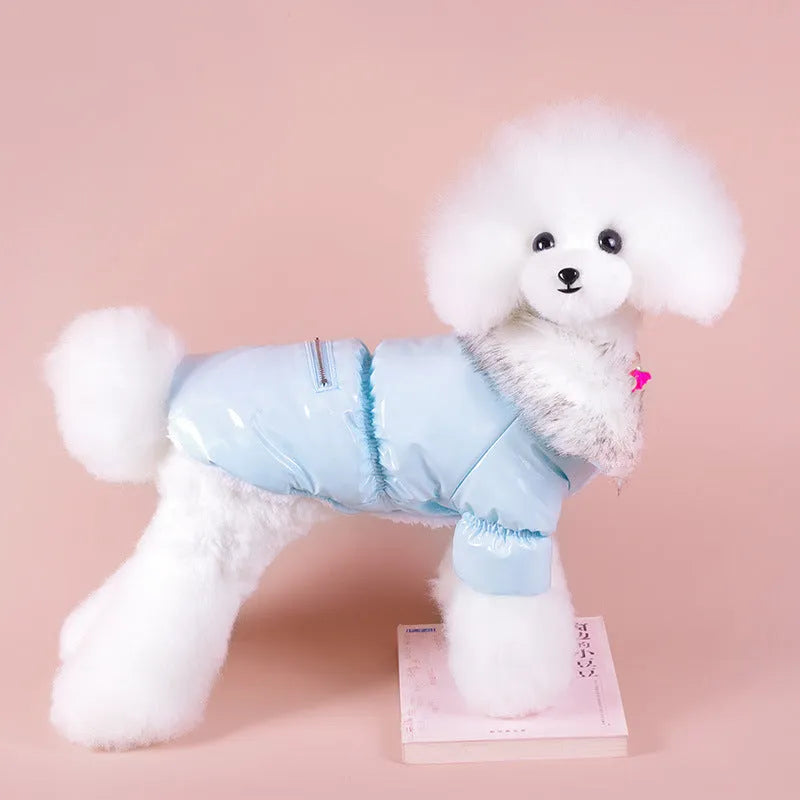 Blue British style cotton dog jacket showing traditional design for autumn and winter wear