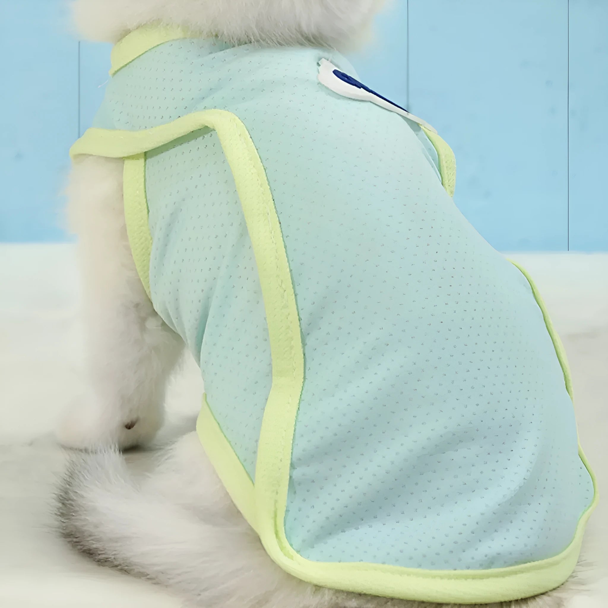 Grass green lightweight polyester vest for a cat on a summer day.