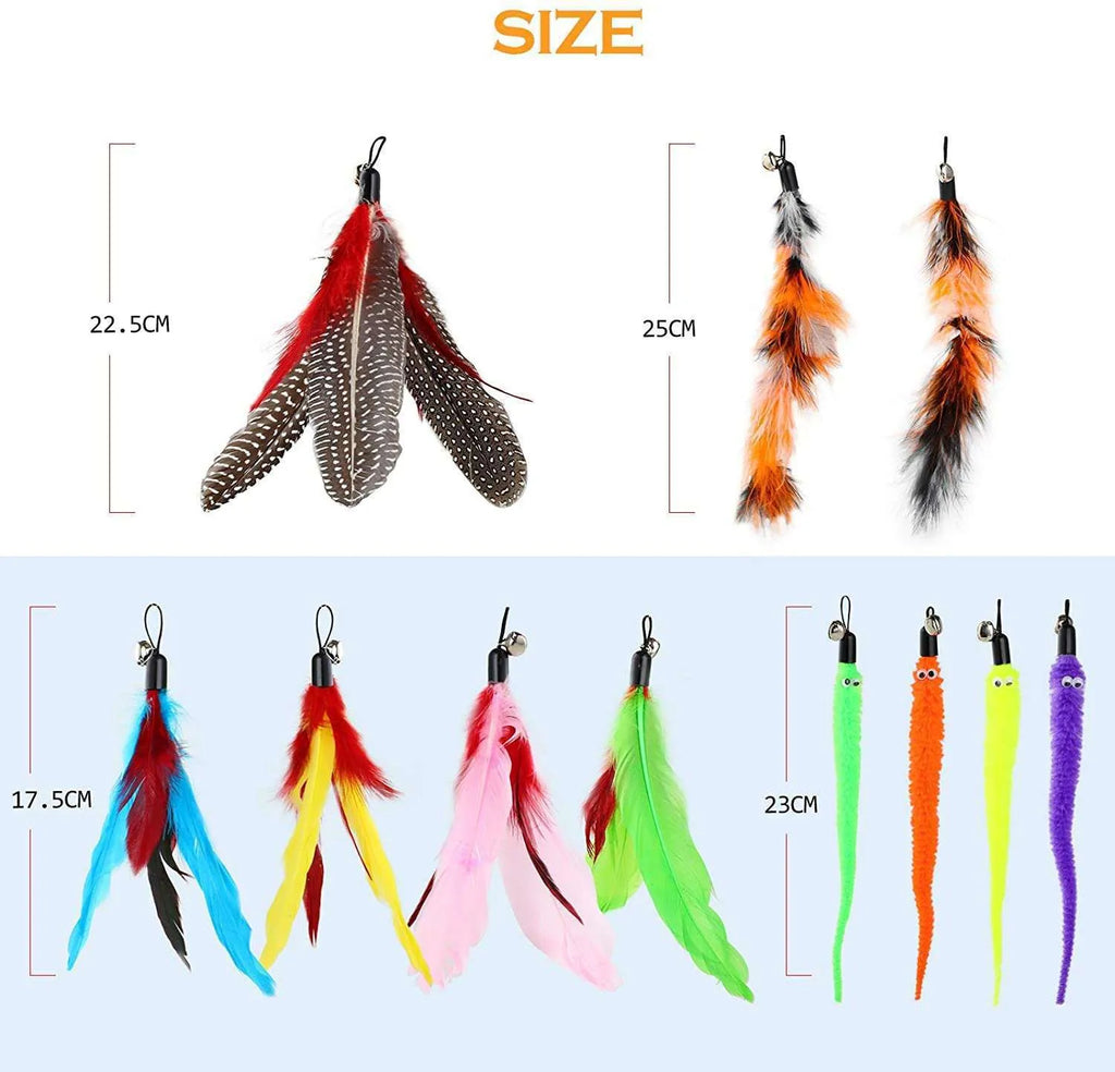 Cat teasing pole set with extendable fishing rod wand and feather attachments