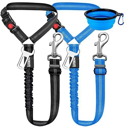 Nylon dog leash with metal buckle shown in multiple colour options.