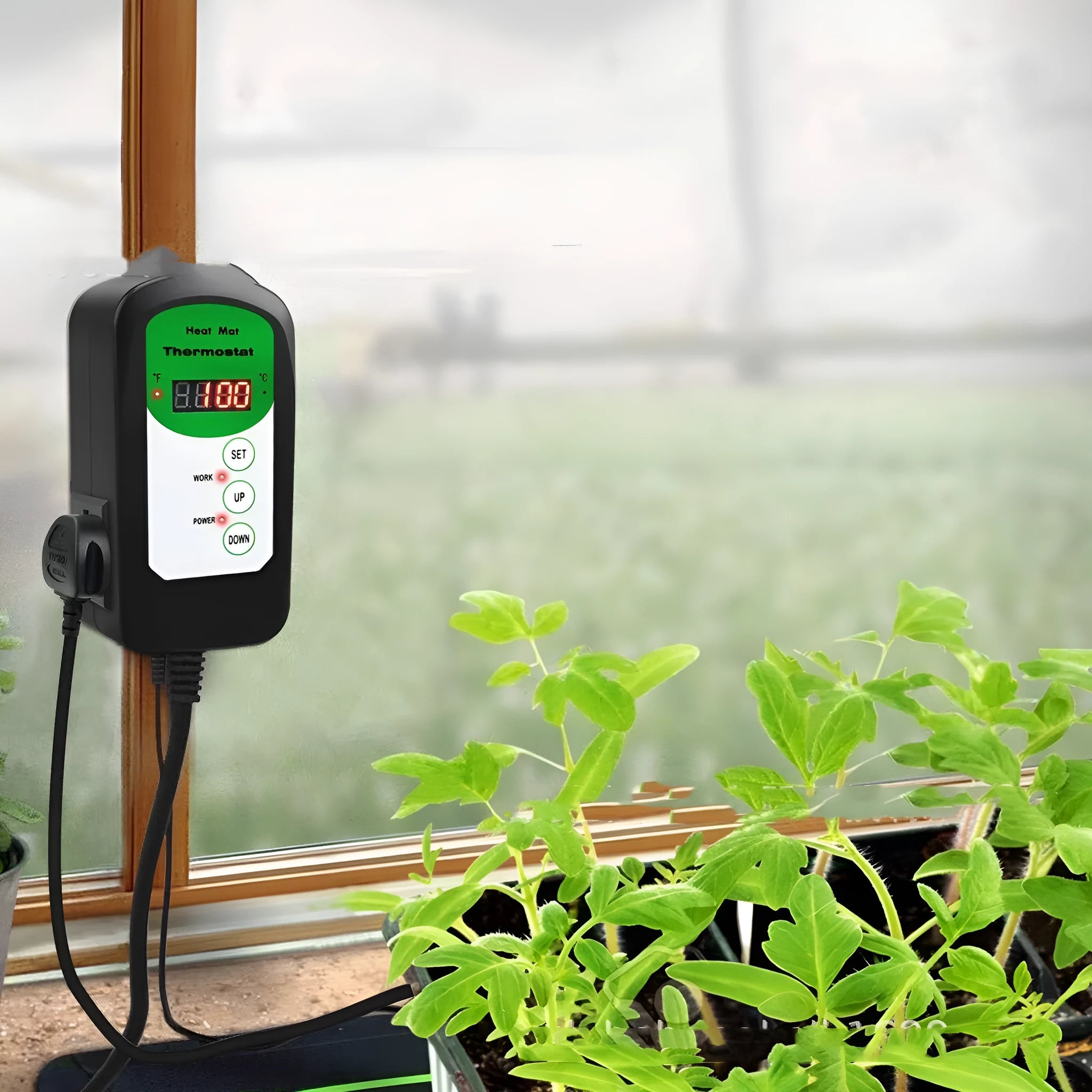 BH1912020 digital temperature humidity controller with display showing readings