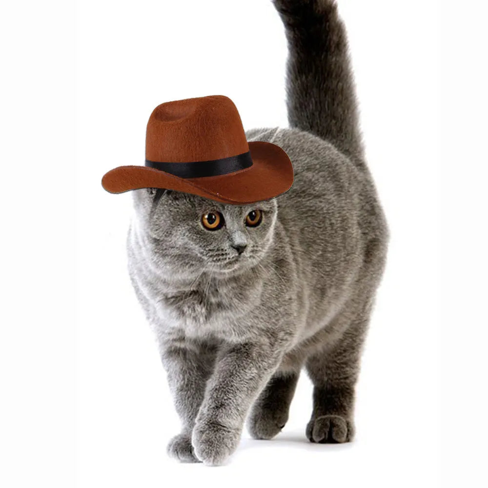 Adjustable cowboy hat for a dog or cat on a plain background, showing the rounded brim.
