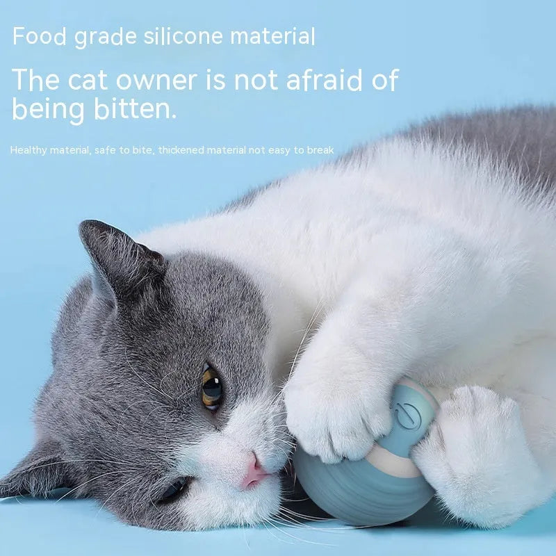 Automatic moving bouncing rolling ball cat toy in blue colour with charging cable