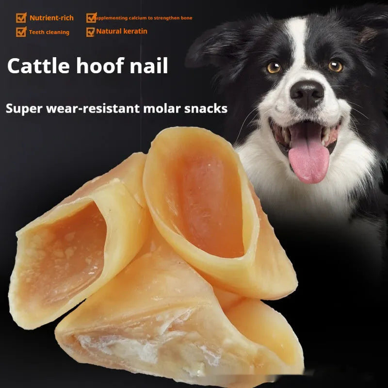 Natural cowhide hoof shell chew for dogs on a white background, showing small and large size options.