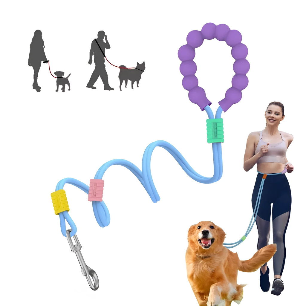Nylon dog leash with anti-slip foam handle in choice of four colours.