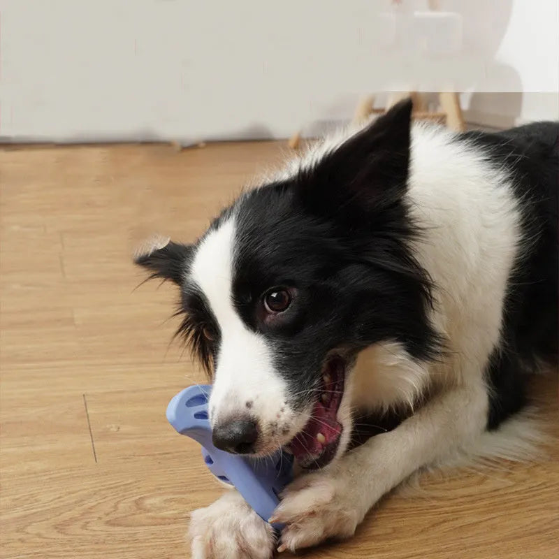 Blue durable plastic boomerang molar shaped chew toy for medium and large dogs.