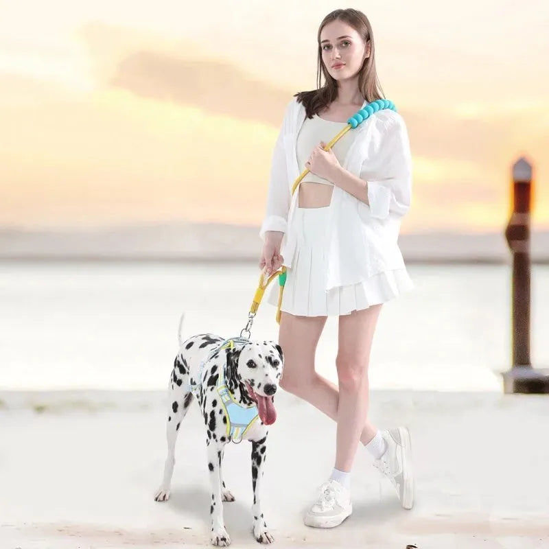 Nylon dog leash with anti-slip foam handle in choice of four colours.
