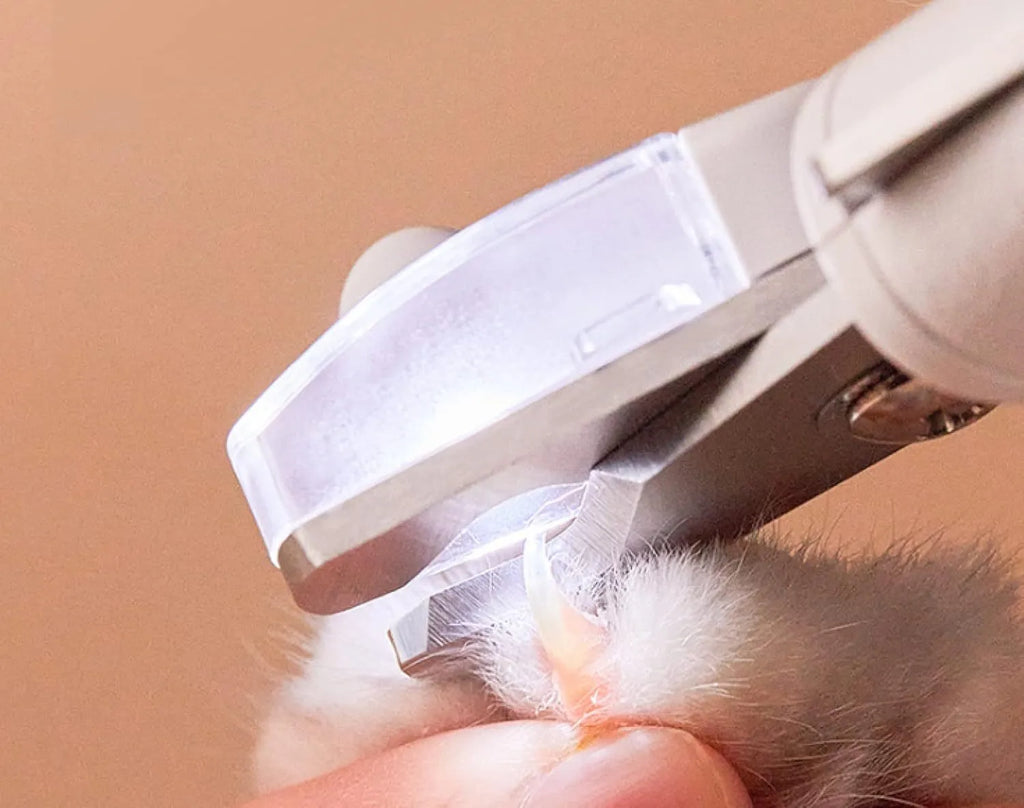 White pet nail clippers with LED light on the handle and a clear anti-splash guard covering the blades.