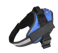 Adjustable dog harness with mesh padded vest on medium-sized dog
