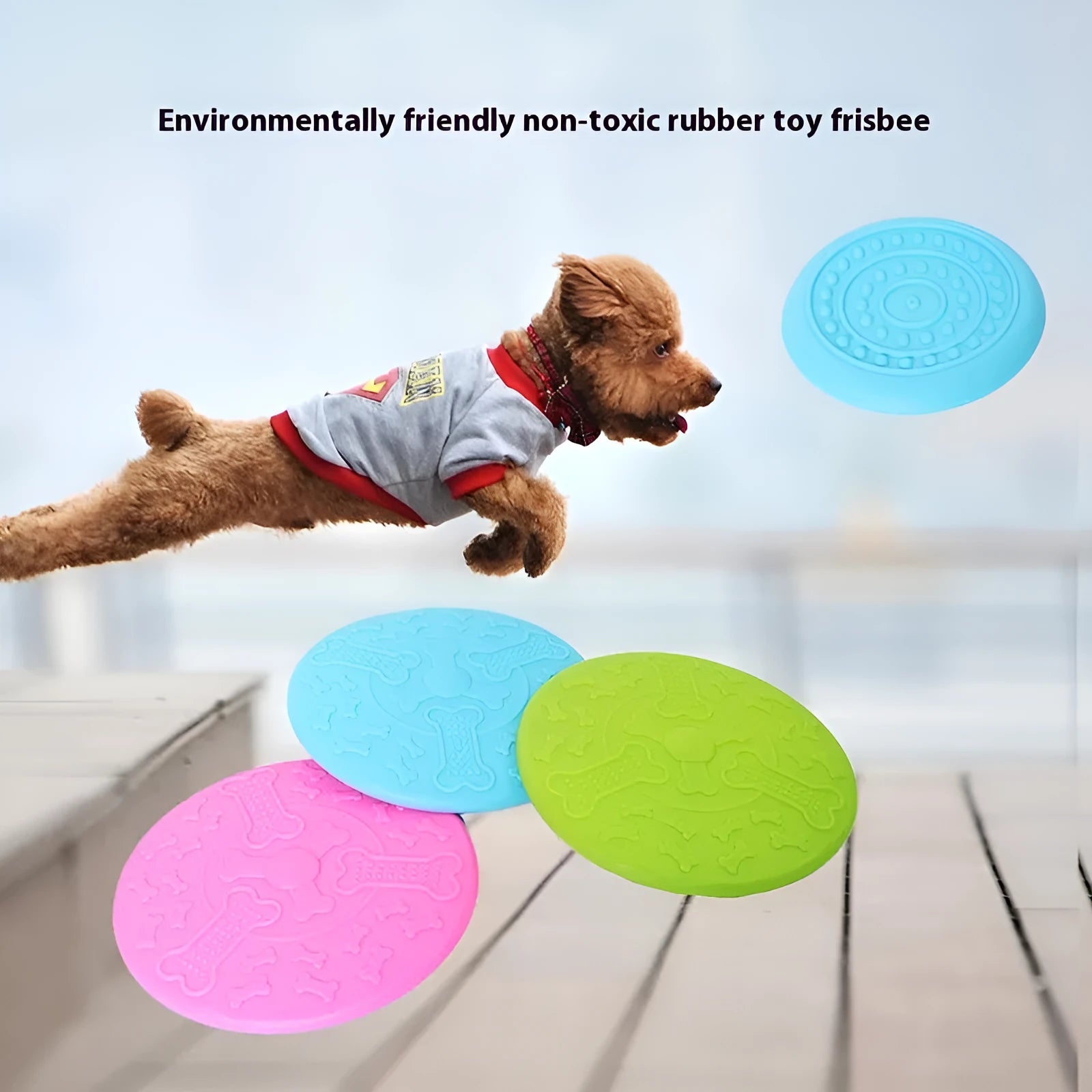 Plastic dog Frisbee toy in multiple colours for outdoor fetch play