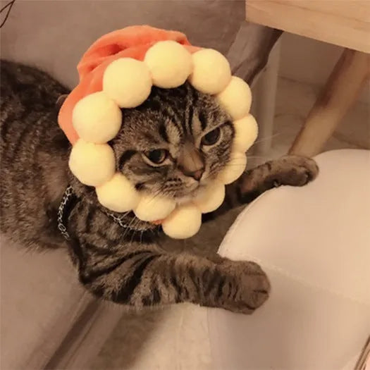 Pet headgear costume accessory with cartoon designs for cats and dogs