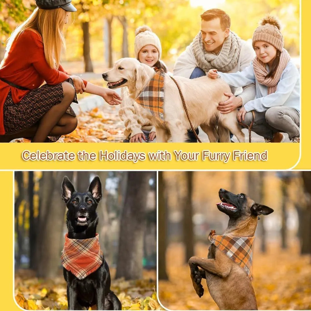 Classic plaid dog bandana with tasselled edges in autumn colours tied around dog's neck