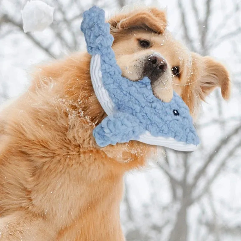 Plush corduroy caterpillar fabric dog toy in shark shape with squeaker on white background