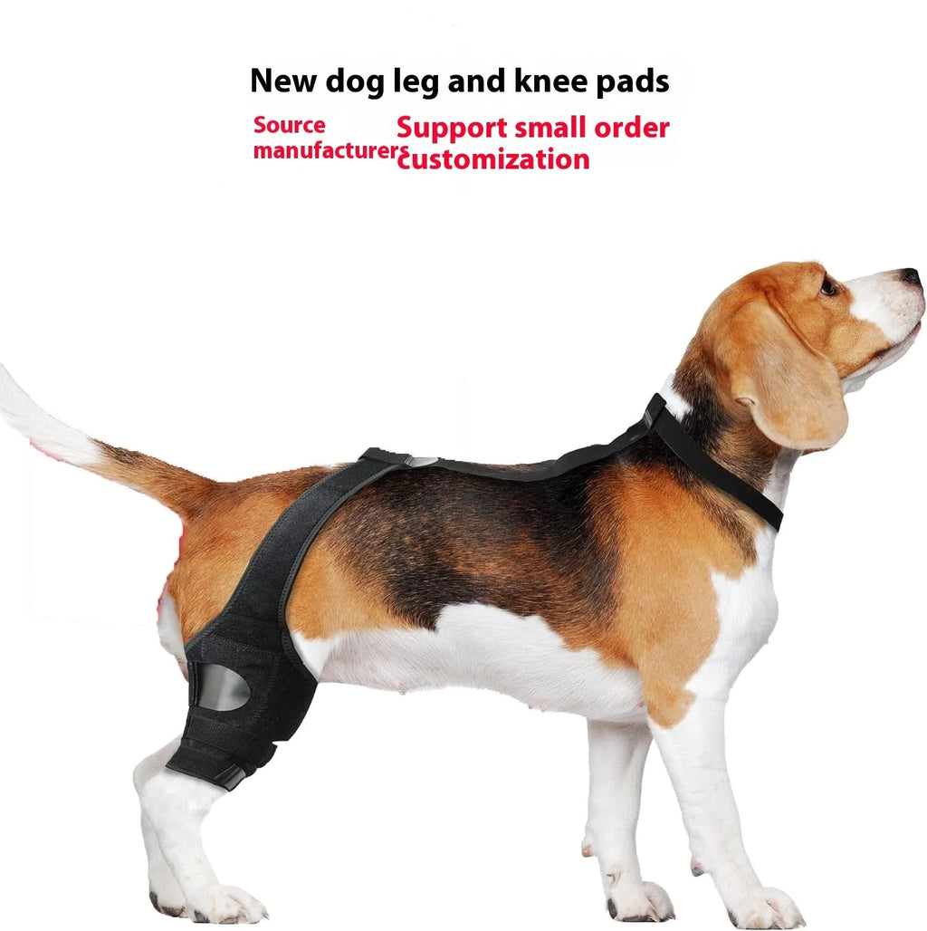 Neoprene dog hind leg knee brace in sizes XS to L available in five colours