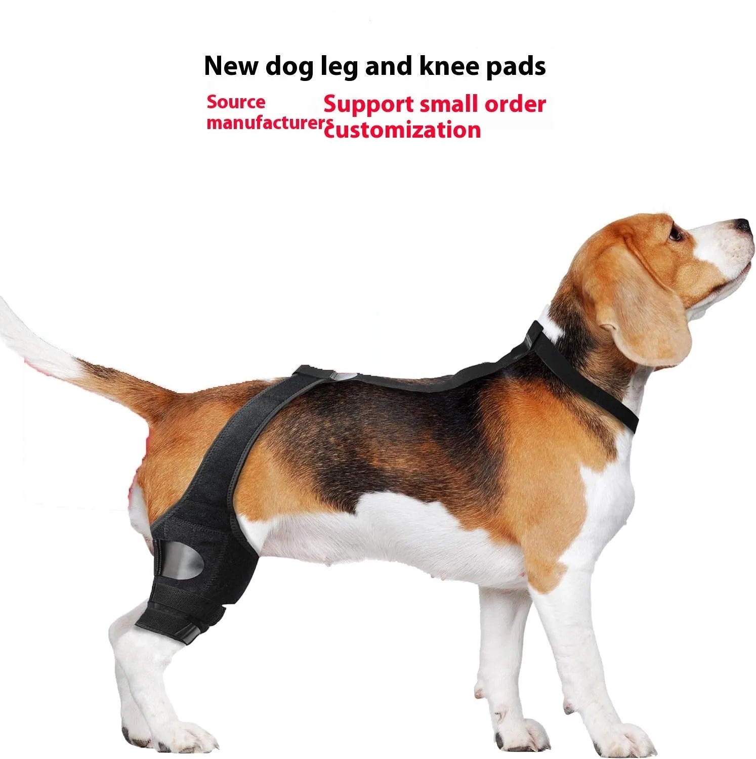 Neoprene dog hind leg knee brace in sizes XS to L available in five colours