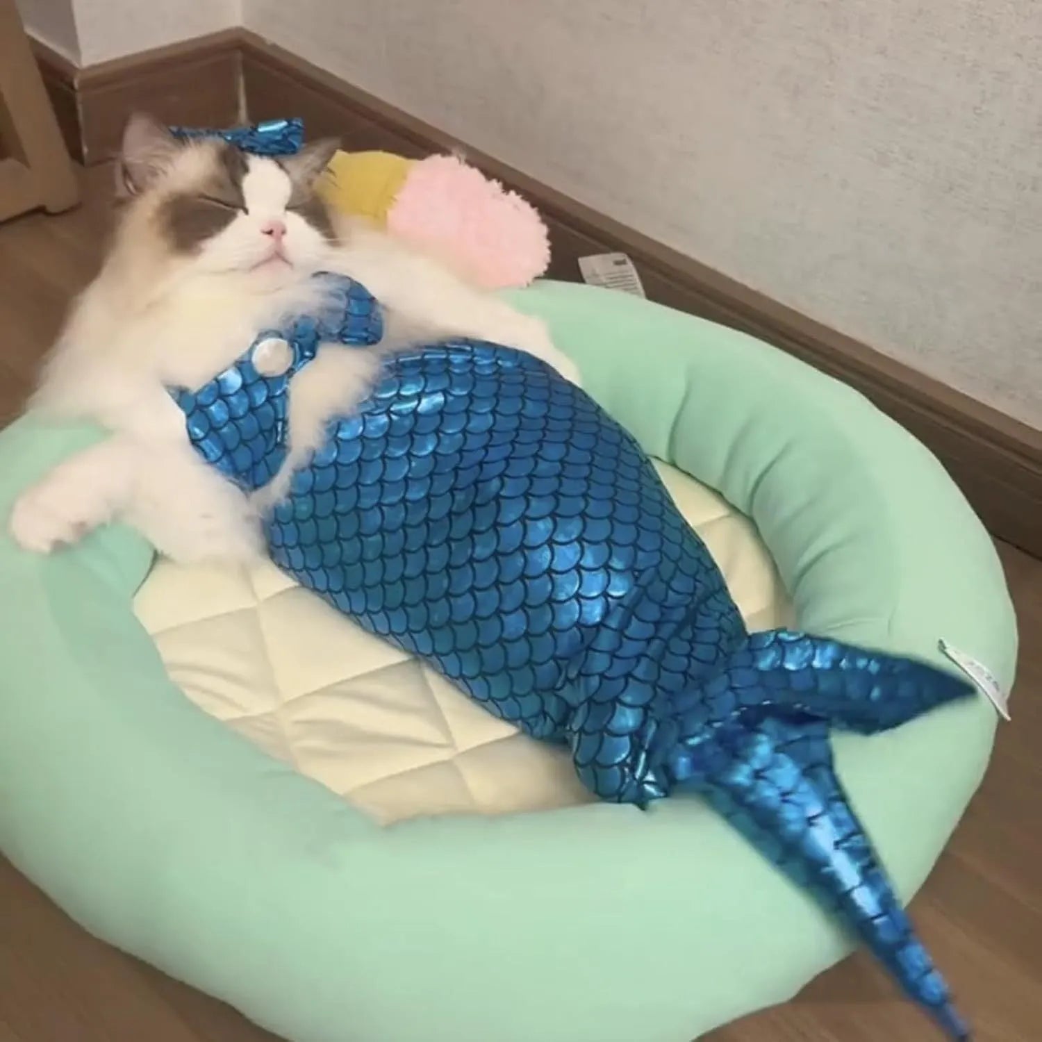 Blue mermaid costume on a cat showing the long glittering fishtail and elastic chest strap.