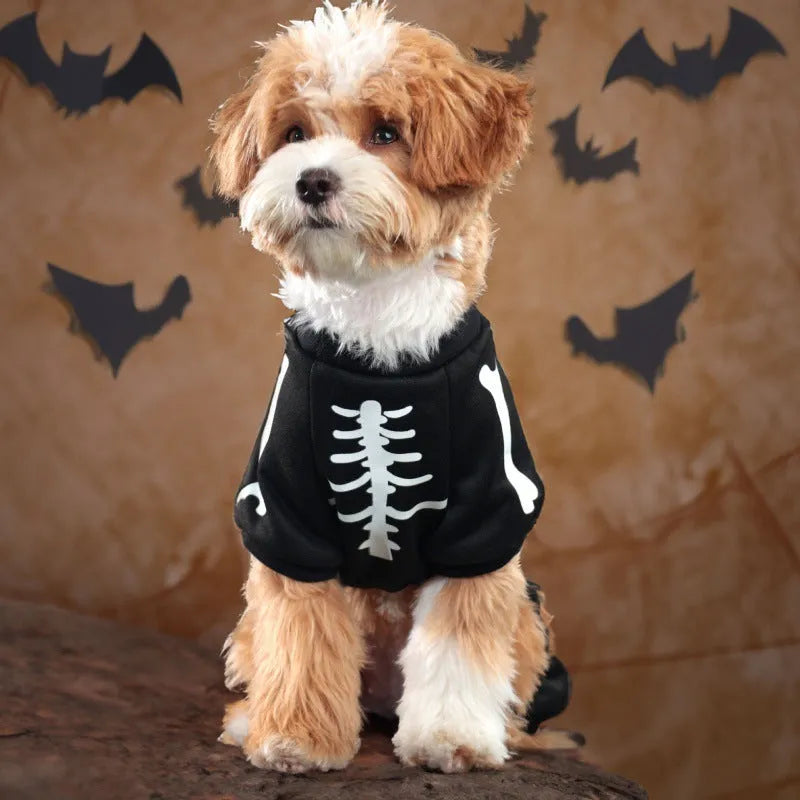 Halloween pet costume with luminous skull bones design on a four-legged polyester outfit for dogs or cats.