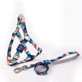 Blue adjustable dog harness and lead combo set shown on a model dog.