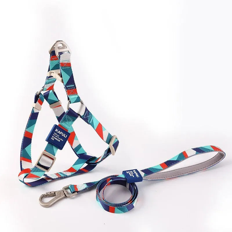 Blue adjustable dog harness and lead combo set shown on a model dog.