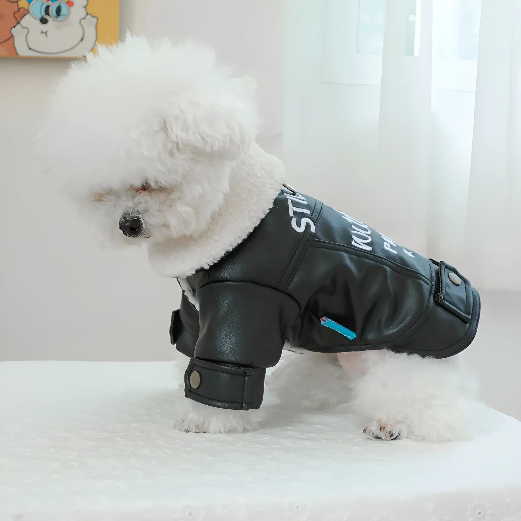 Large fur coat style dog jacket with fleece lining in black, beige or suede colours for winter warmth