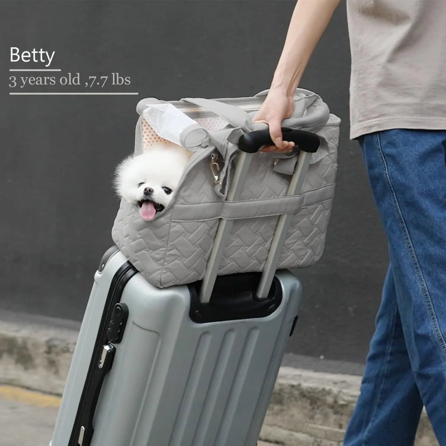 Grey pet carrier handbag with mesh windows and a safety strap, shown in a casual setting.