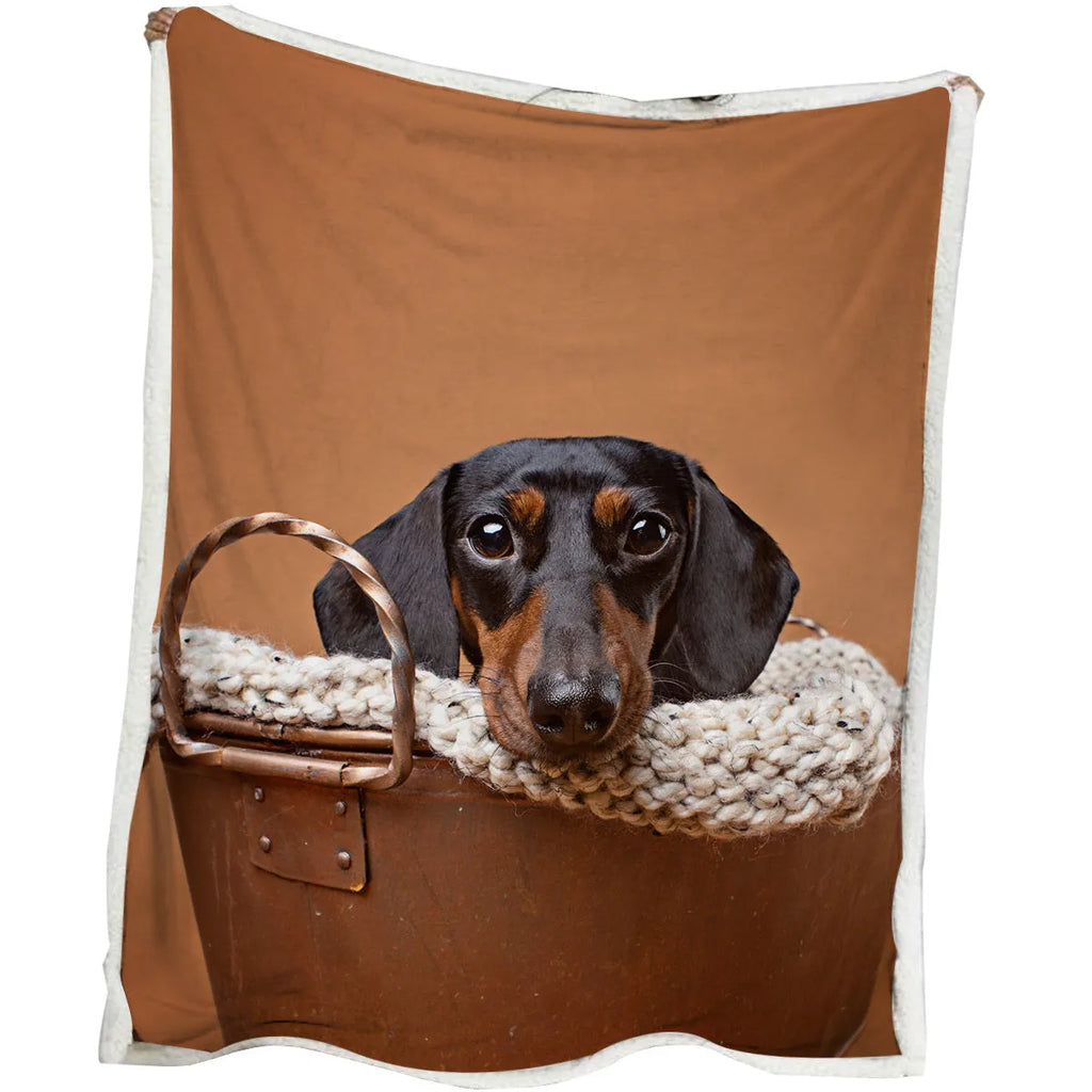 Brown sausage dog themed Sherpa fleece and lamb wool blanket in 130x150cm or 150x200cm size