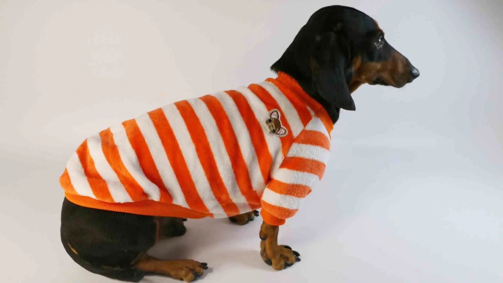 Striped casual pet sweatshirt with round neck in orange red and white colours