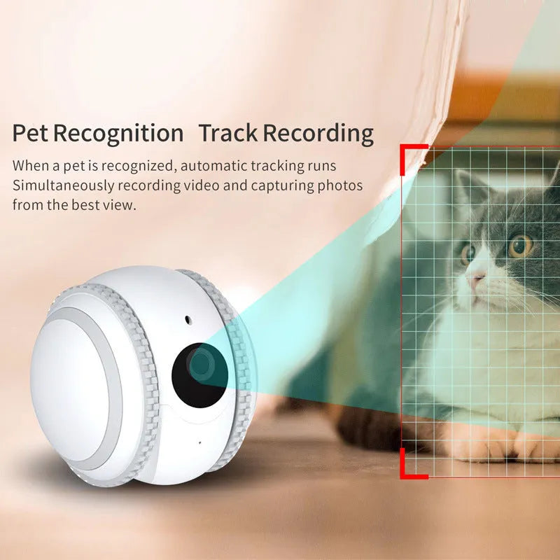White plastic pet companion robot cat with automatic recharge function and USB cable