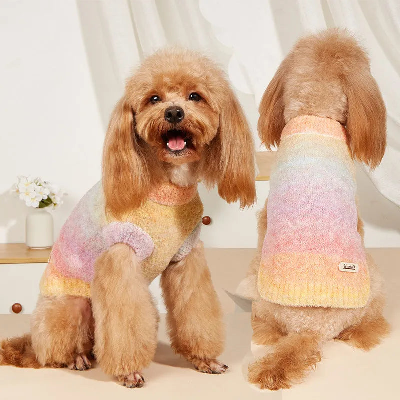 Dopamine style rainbow circle pattern dog sweater in wool acrylic blend fabric