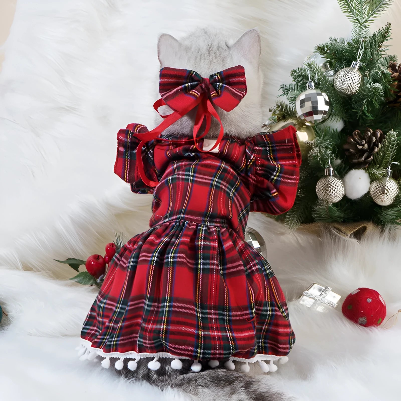 Red tartan Christmas skirt outfit with bow tie and head flower on a small dog or cat.