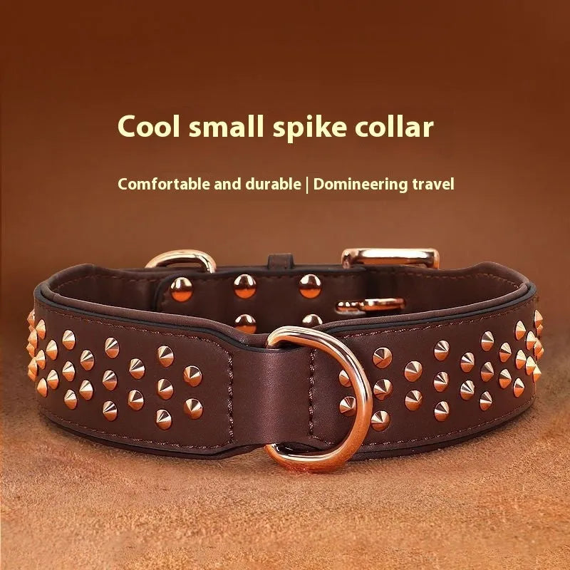 Leather dog collar with metal anti-bite rivets and a buckle, shown in black colour.