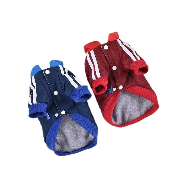 Red and blue V-shaped splicing cotton dog coat for dogs on size mannequin
