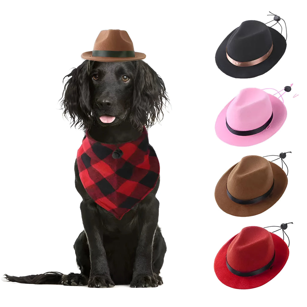 Small wool felt pet hat in pink, black, brown, or red colours with denim style trim and hairpin attachment