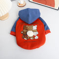 Red cotton dog coat for small and medium sized breeds like Teddy and Bichon on a mannequin