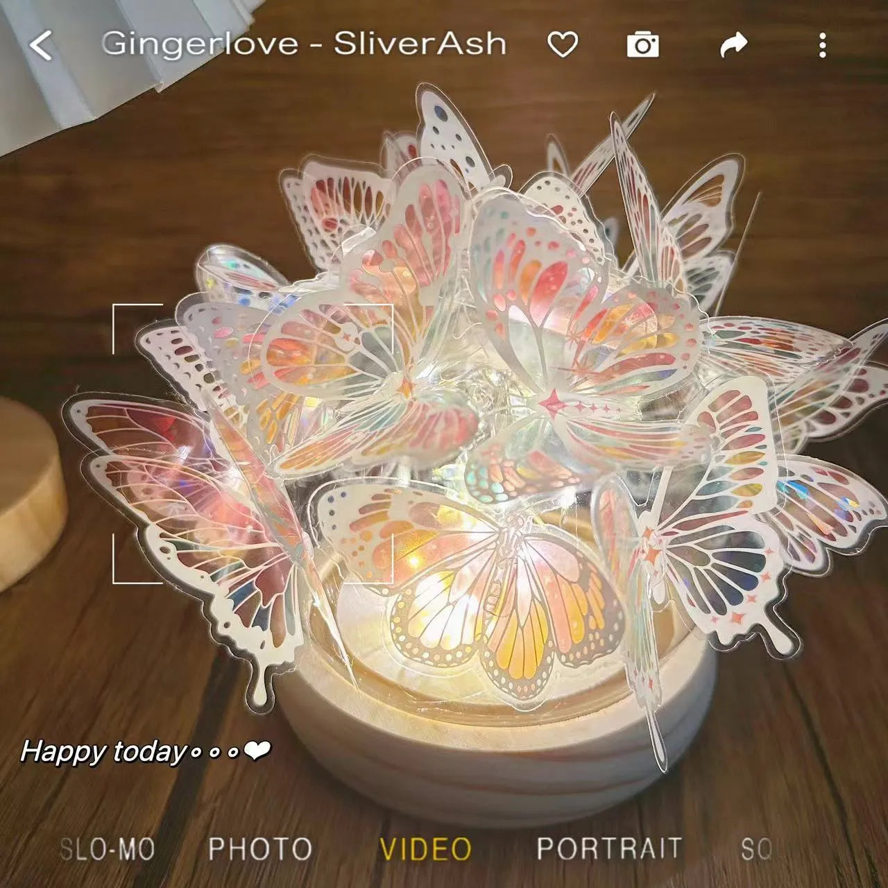 Butterfly night lamp with glass shade and wood base measuring 12x15cm