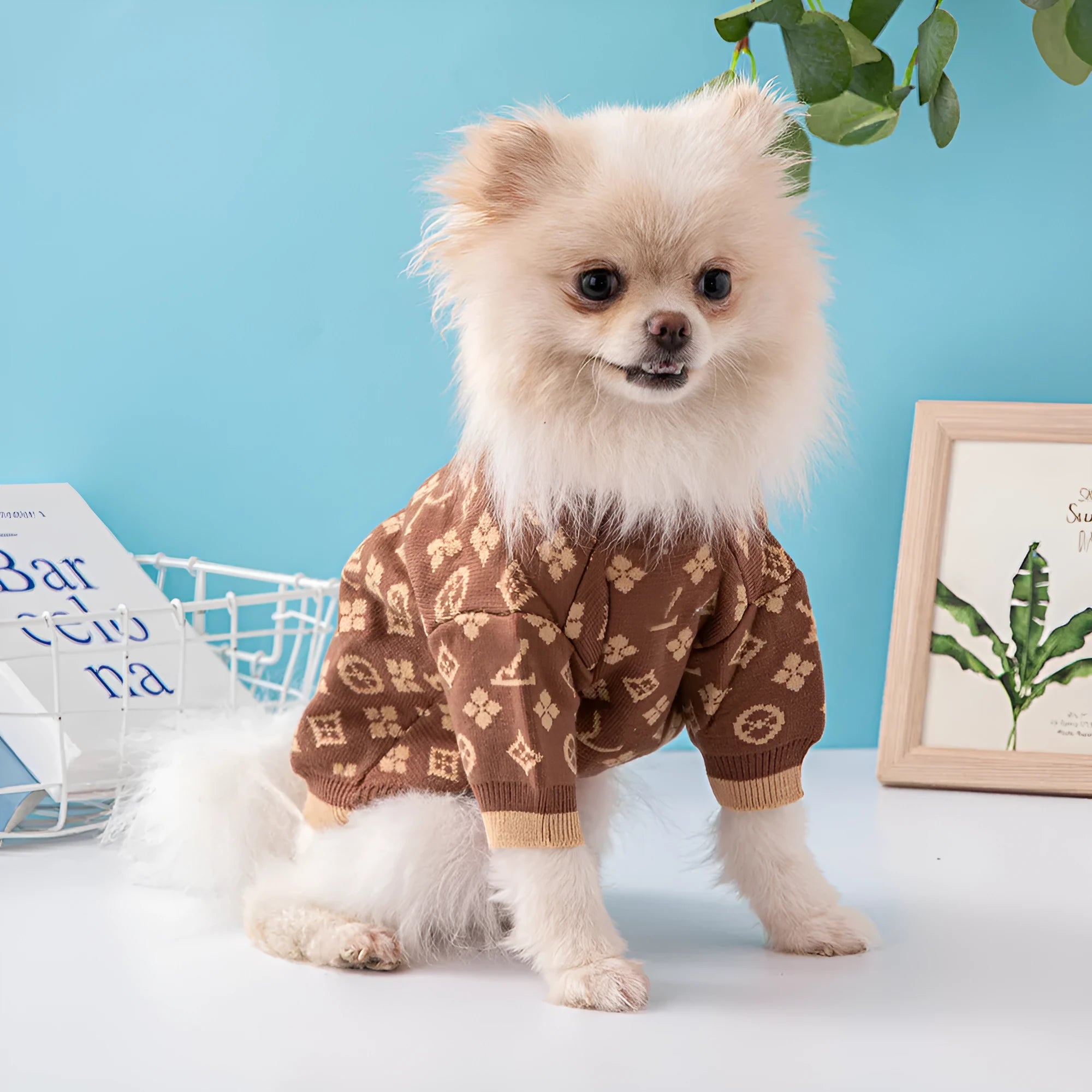 Thick wool dog sweater for autumn and winter in monochrome and two-tone colours.