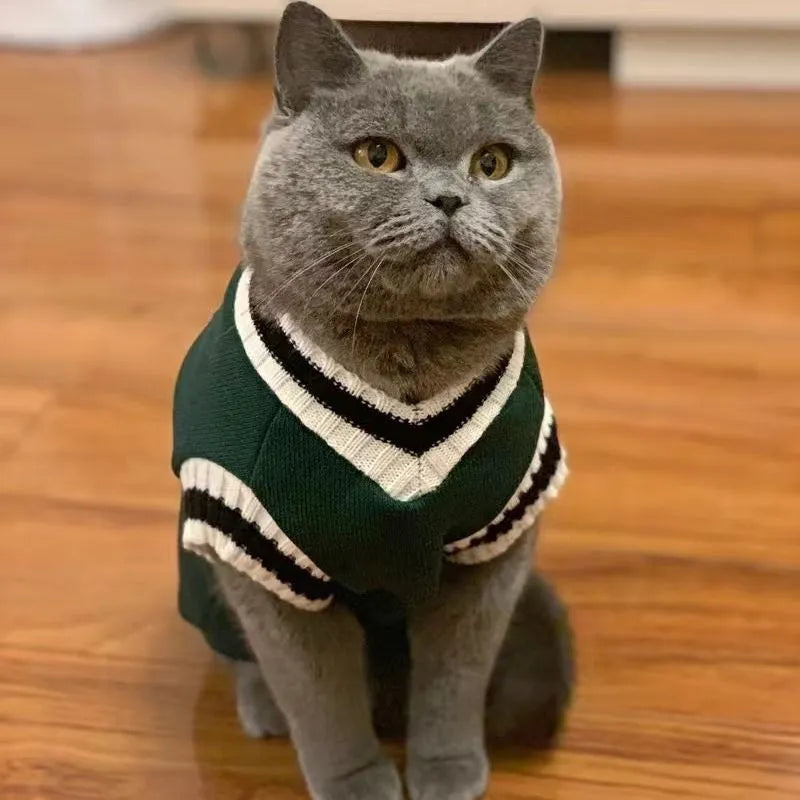 Silver gradient college style pet winter clothes shown in blue duck colour on size chart with weight ranges
