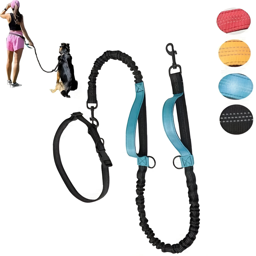 Hands-free dog leash with adjustable waist belt worn by person running with dog