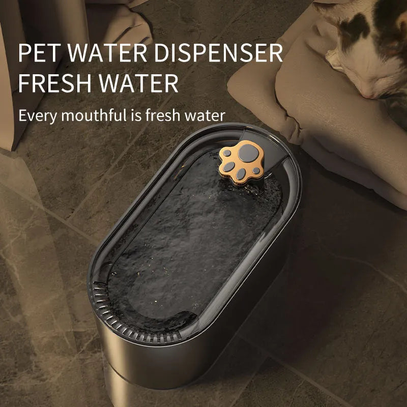Berlin blue 3L pet water fountain with LED lights and filtration system on wooden floor