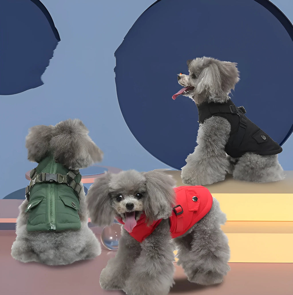 Pet winter cotton dog clothes zipper jacket in DZ270 black, side view, size S to 2XL