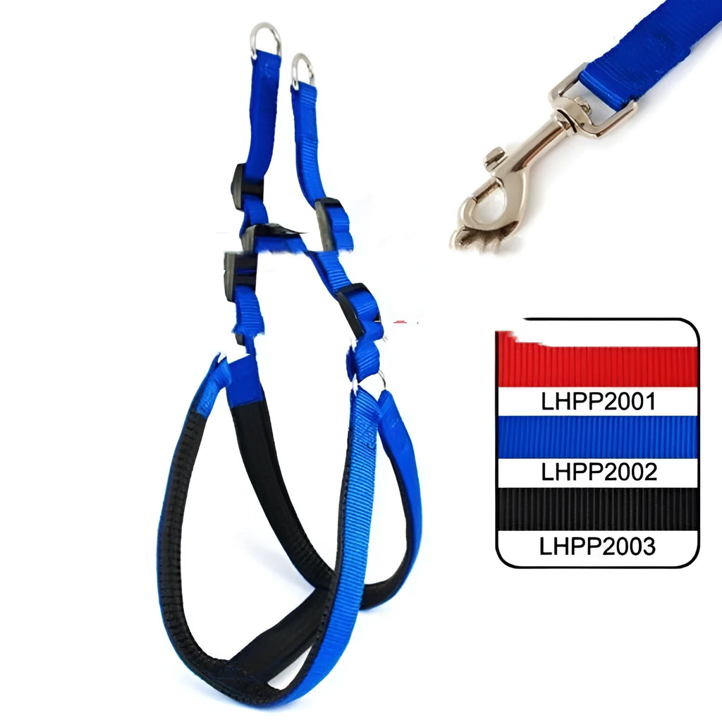 Blue nylon dog harness with foam lining and chest strap attachment point