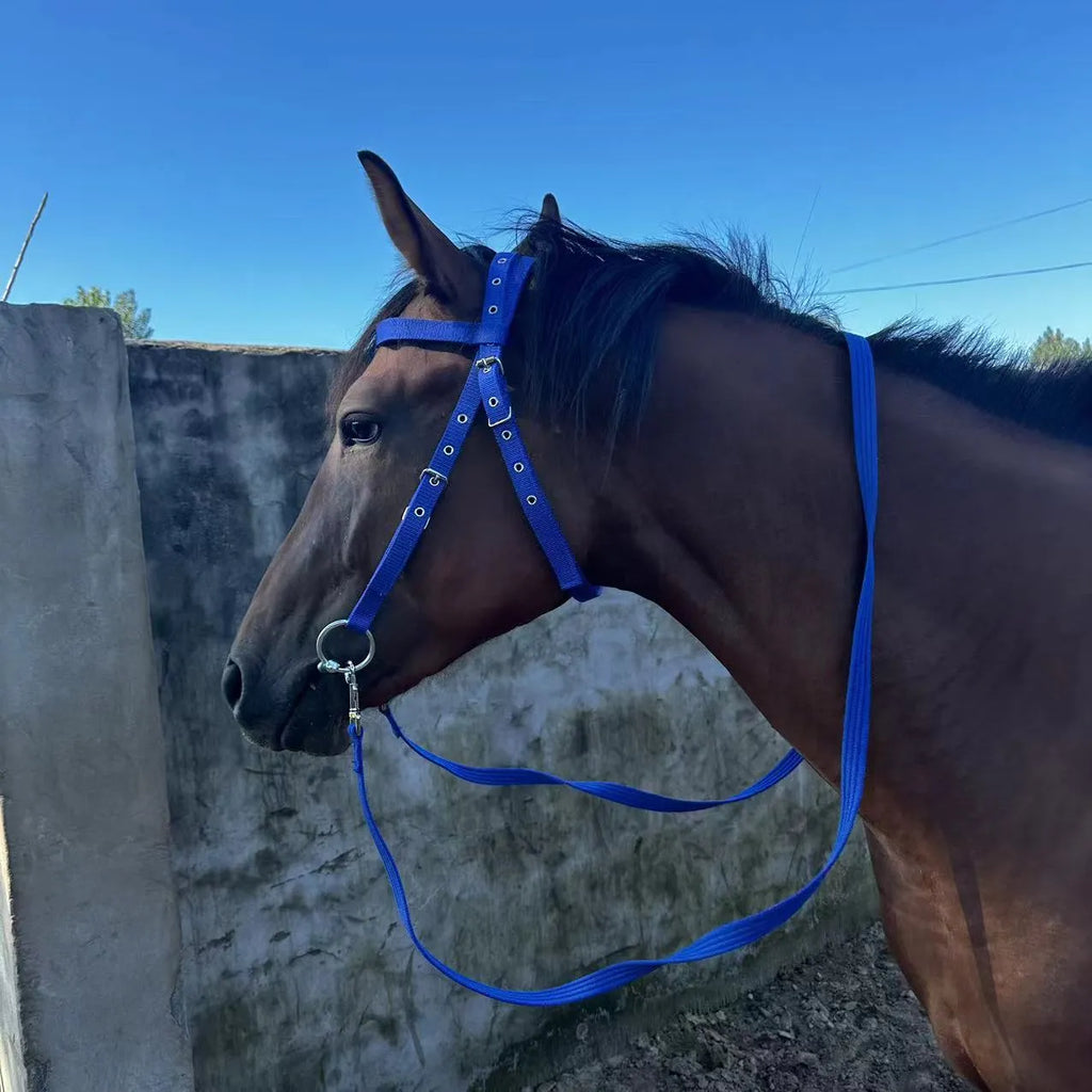 Black fibre horse halter rope for ponies with shoulder height below 1.3m