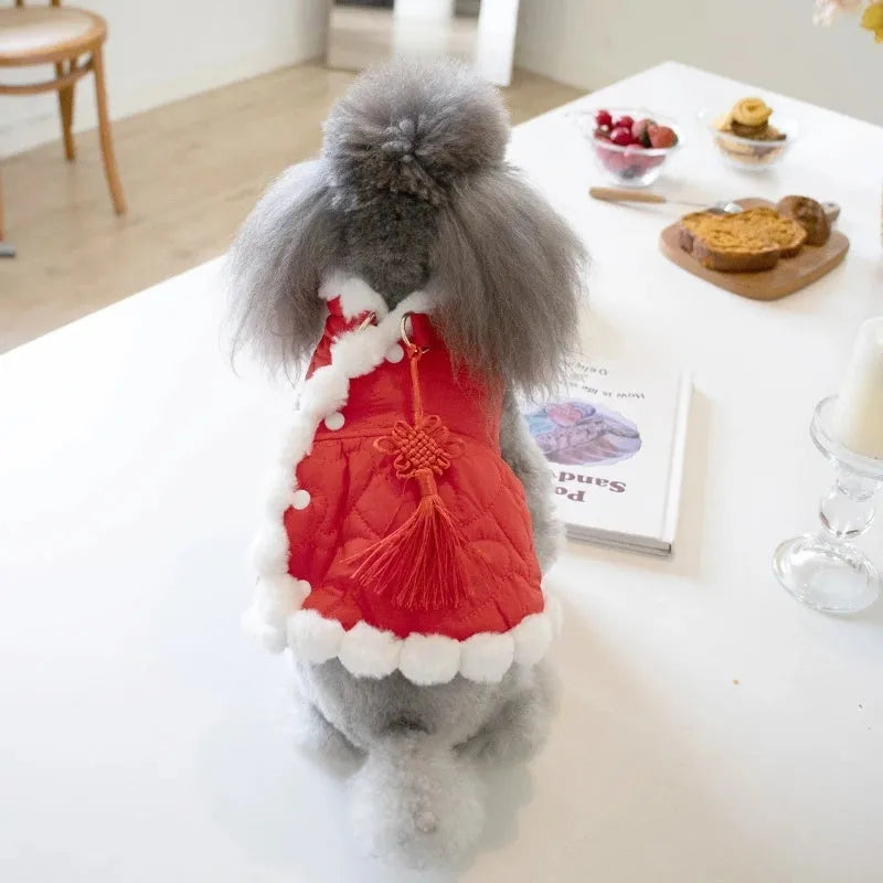 Red Chinese style pet clothing with a thick fur collar and traditional knot decoration on a dog or cat.