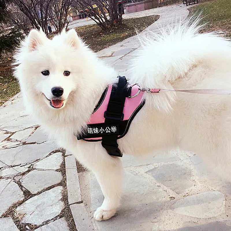 Nylon pet chest harness and leash set in red with adjustable chest strap and towing rope for dog walks