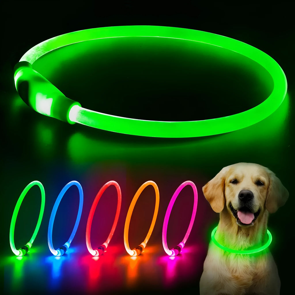 USB rechargeable LED dog collar showing blue glowing light on adjustable TPU collar
