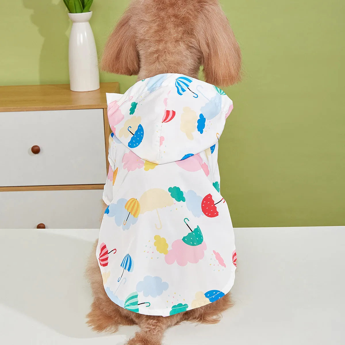Cartoon umbrella pattern colourful dog raincoat on a small dog, showing strap and buckle closure.