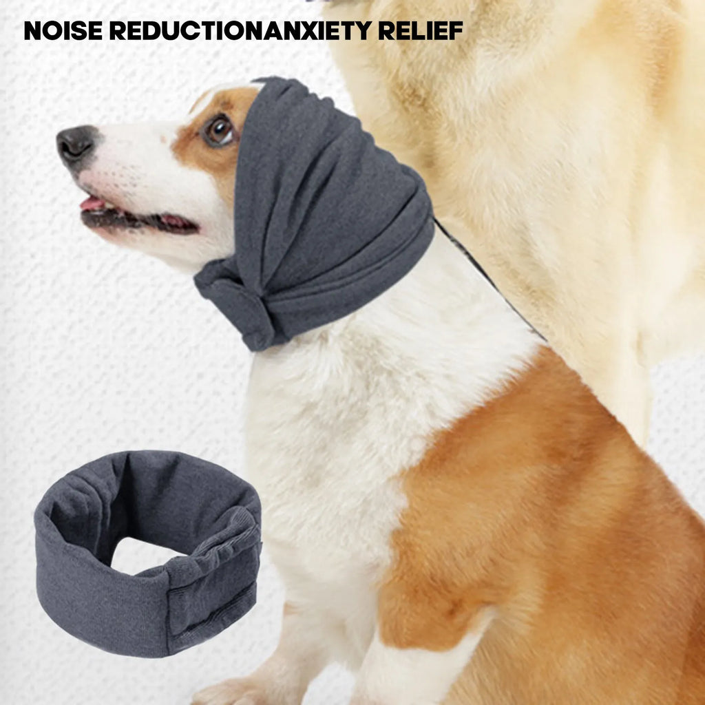 Dog wearing purple noise reduction hoodie with ear wraps and head cover