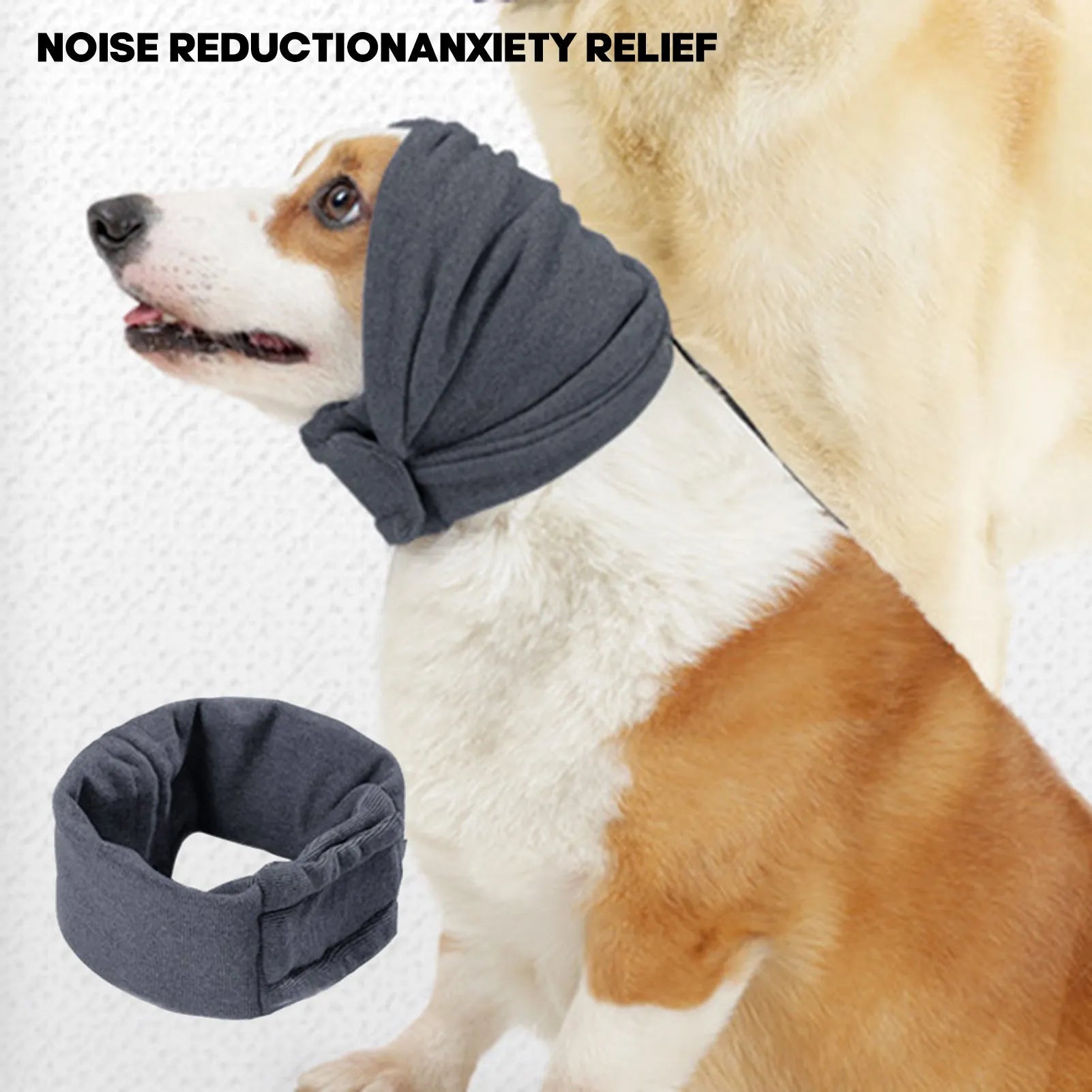 Dog wearing purple noise reduction hoodie with ear wraps and head cover